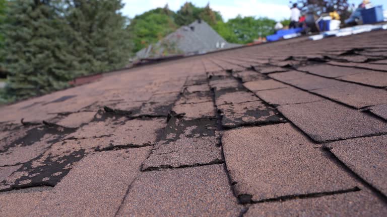 Best Storm Damage Roof Repair  in North Eastham, MA