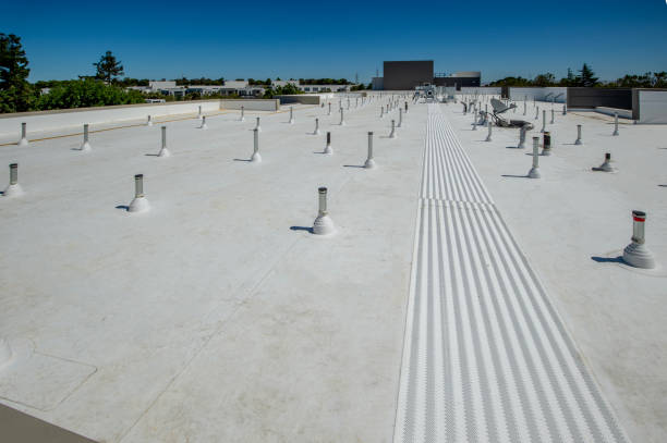 Best Roof Coating and Sealing  in North Eastham, MA